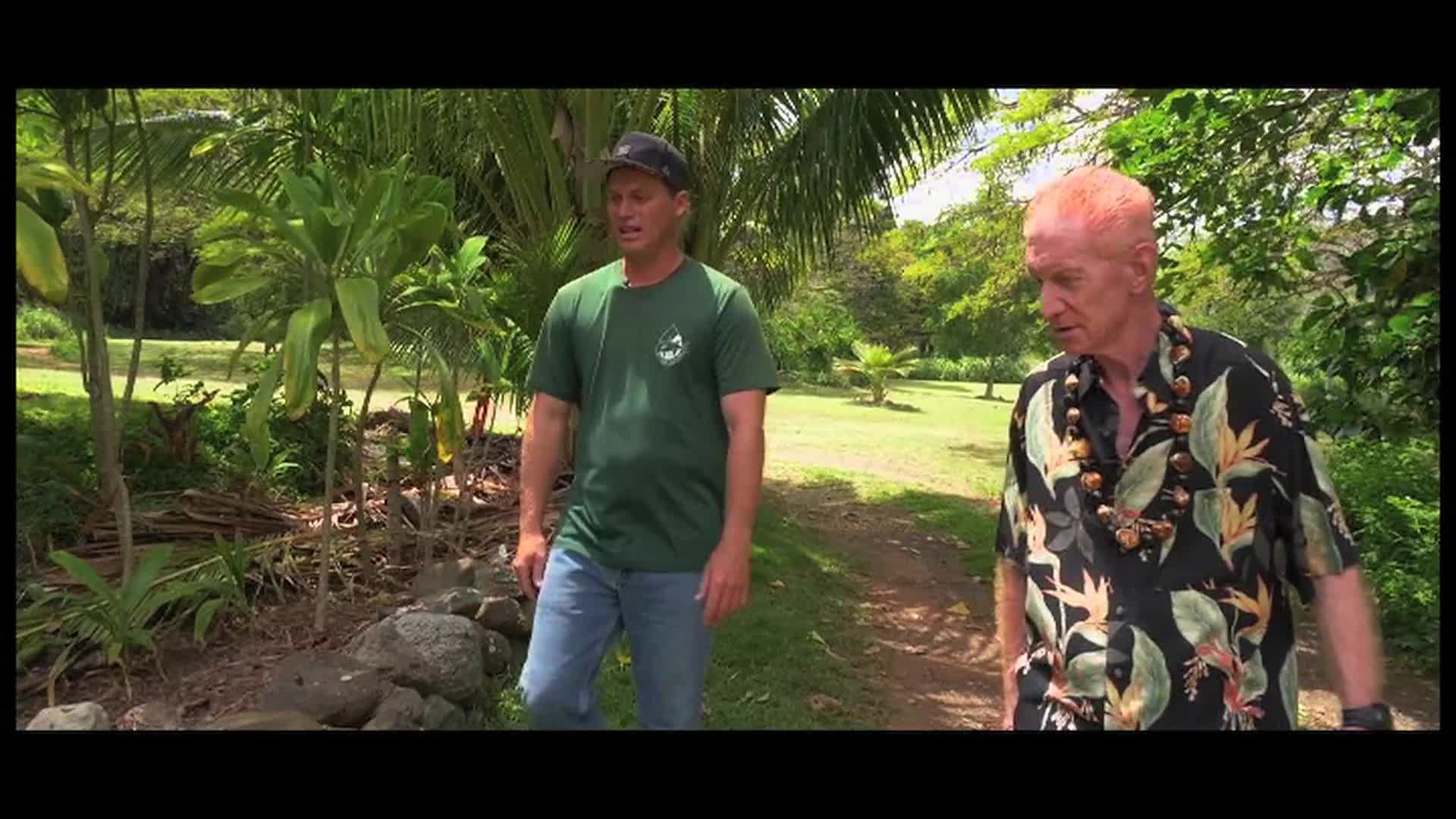 Voices of Truth - Stones That Speak