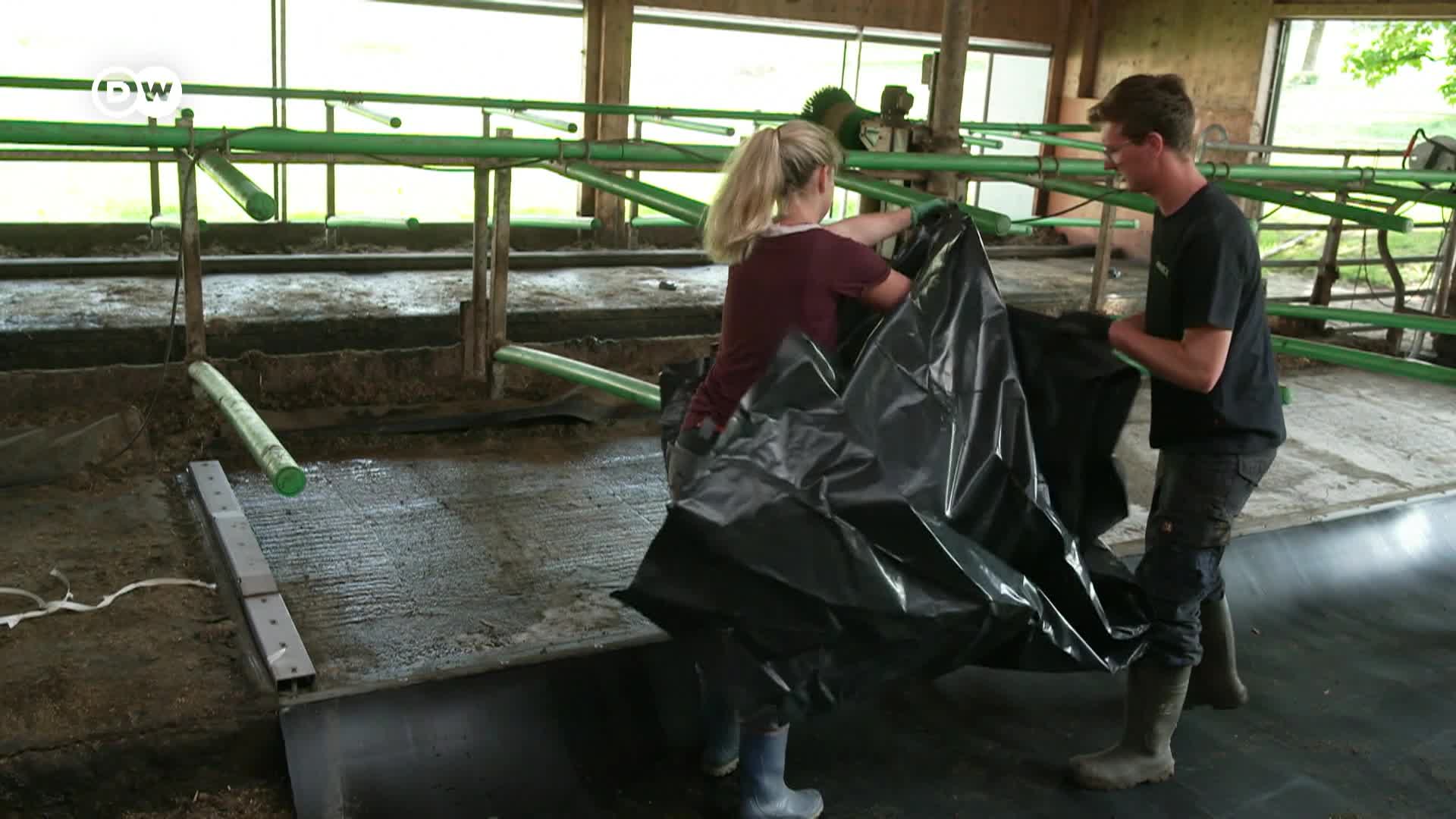 Tomorrow Today December 2025