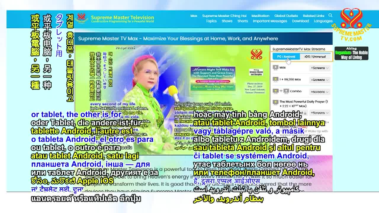 North Korean Vegan Street Food